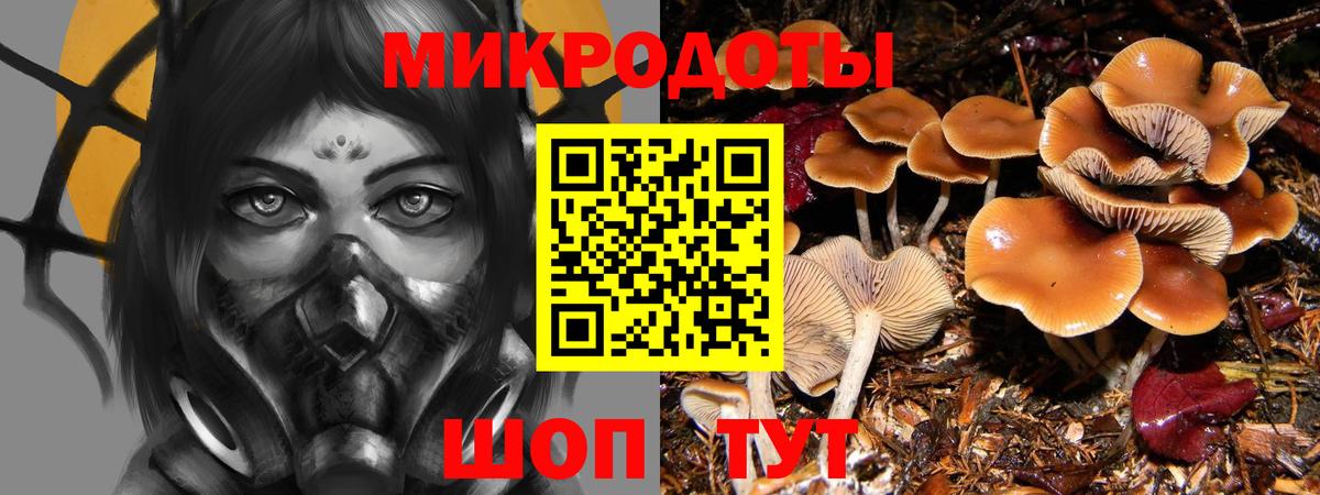 Галлюциногенные грибы прущие грибы Канск